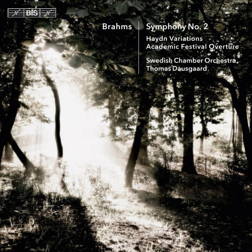 SWEDISH CHAMBER ORCHESTRA - BRAHMS - SYMPHONY NO. 2SWEDISH CHAMBER ORCHESTRA - BRAHMS - SYMPHONY NO. 2.jpg